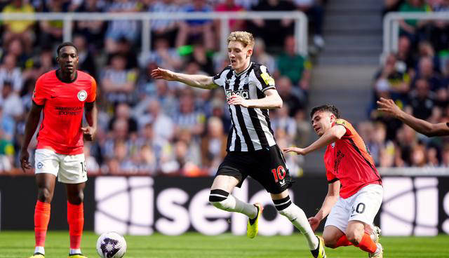 英超预测:布伦特福德对阵纽卡斯尔联,切尔西迎战伯恩茅斯_比赛_排名