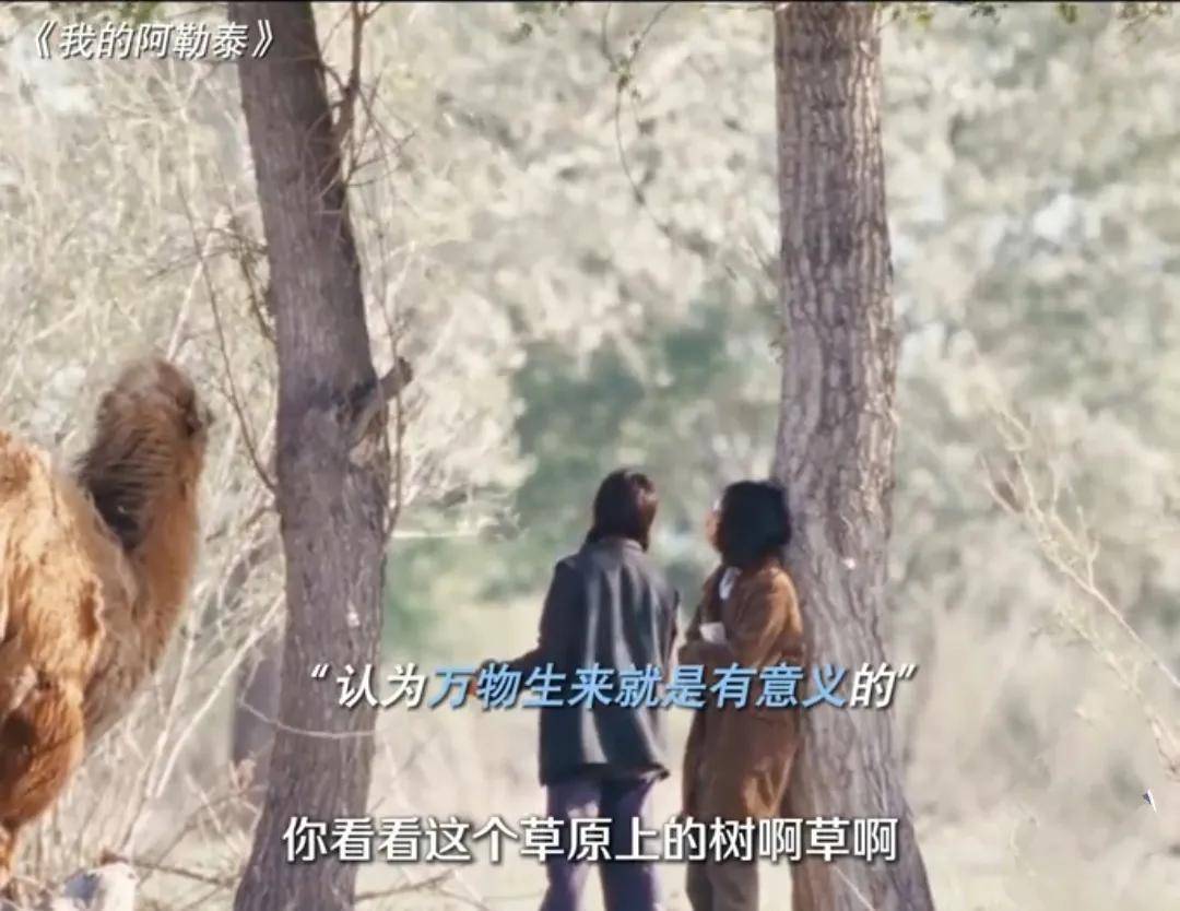 你看看草原上的这些树啊草啊,有人吃有人用便叫有用吗?