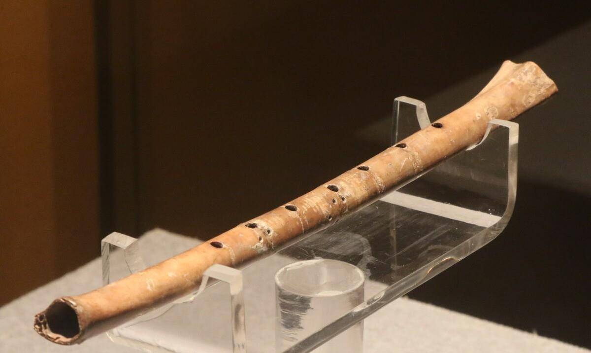 从阿尔泰山脉冻土中发现的距今2300年的女鞋.