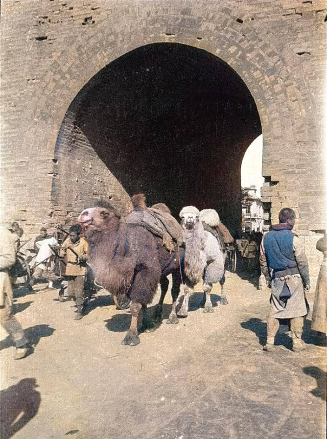 百年前刑场是何模样?赴刑场匪首面露笑容,浸猪笼的女子充满绝望