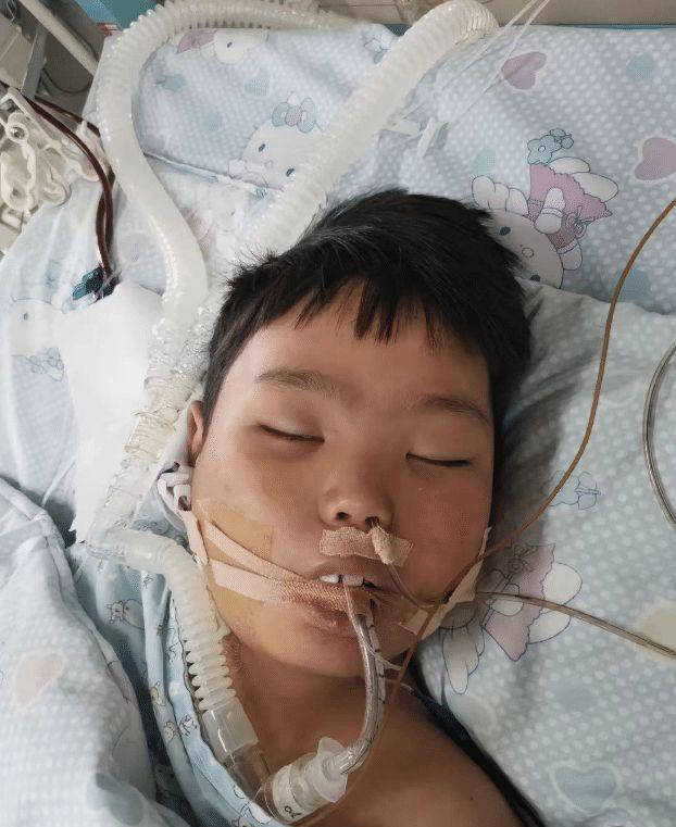 健康警示:垃圾食品致13岁王子文患尿毒症,引发社会关注