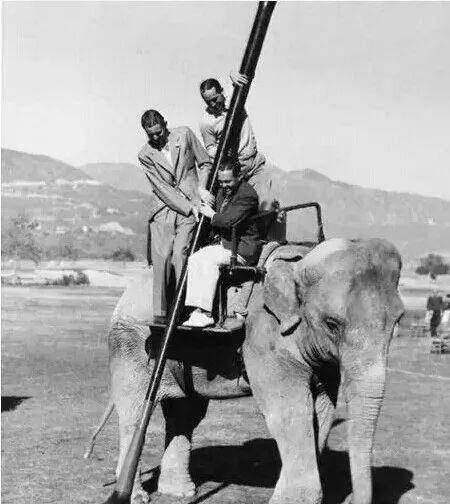 39张罕见老照片,流浪汉向国王要饭,用叉车搬运5m的电脑硬盘