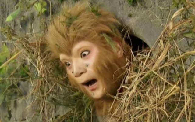 五行山出来后,猴哥为何连普通小妖都打不过?他把一个东西弄丢了