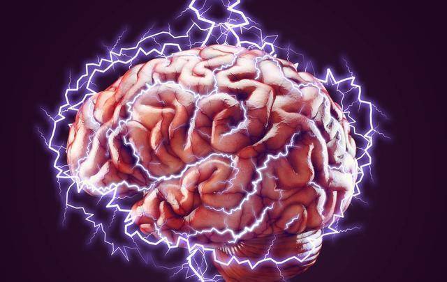 被研究30年,大脑割成240片,有何结果?_托马斯哈维_天才_人类