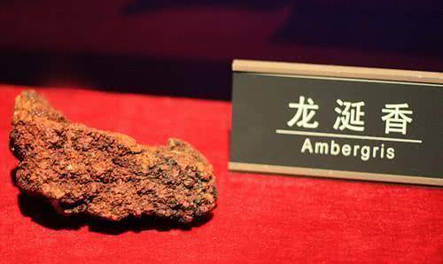 泰国这位老人在海边捡垃圾,无意捡到了一块"粪便",卖了500万_龙涎香