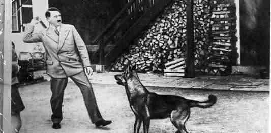 希特勒的狗布隆迪图片