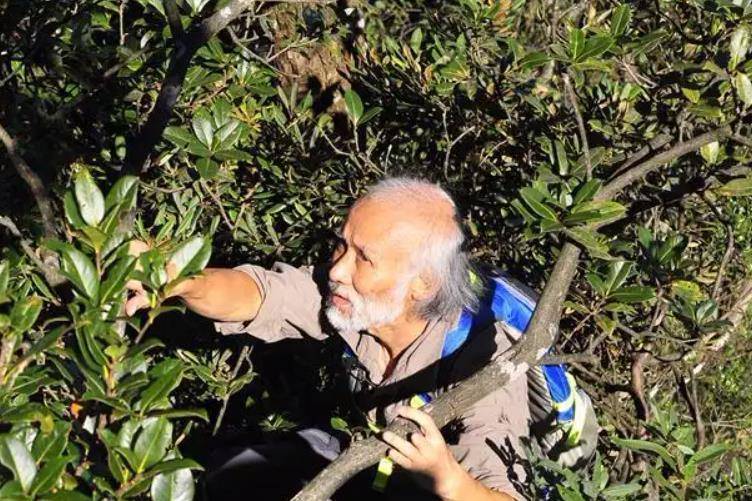 中国毒蛇"小青龙",曾被黑市炒到天价,还总遭国外"惦记"_陈远辉_老肖