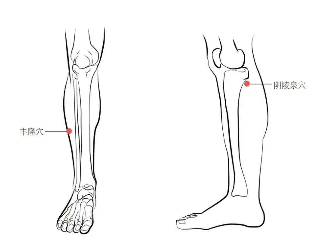 2,阴陵泉穴位于小腿的内侧,膝下胫骨内侧凹陷中,与阳陵泉穴相对.