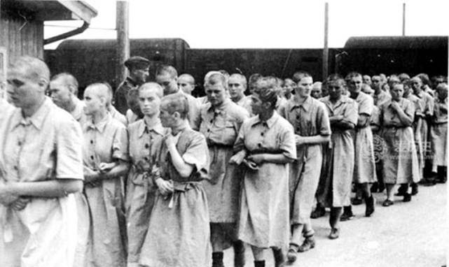 德国93岁前集中营看守被判5230项谋杀罪,曾天天目睹杀戮