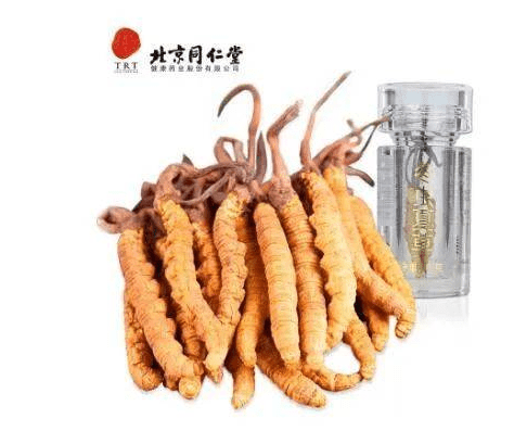 虫草品牌排名大全