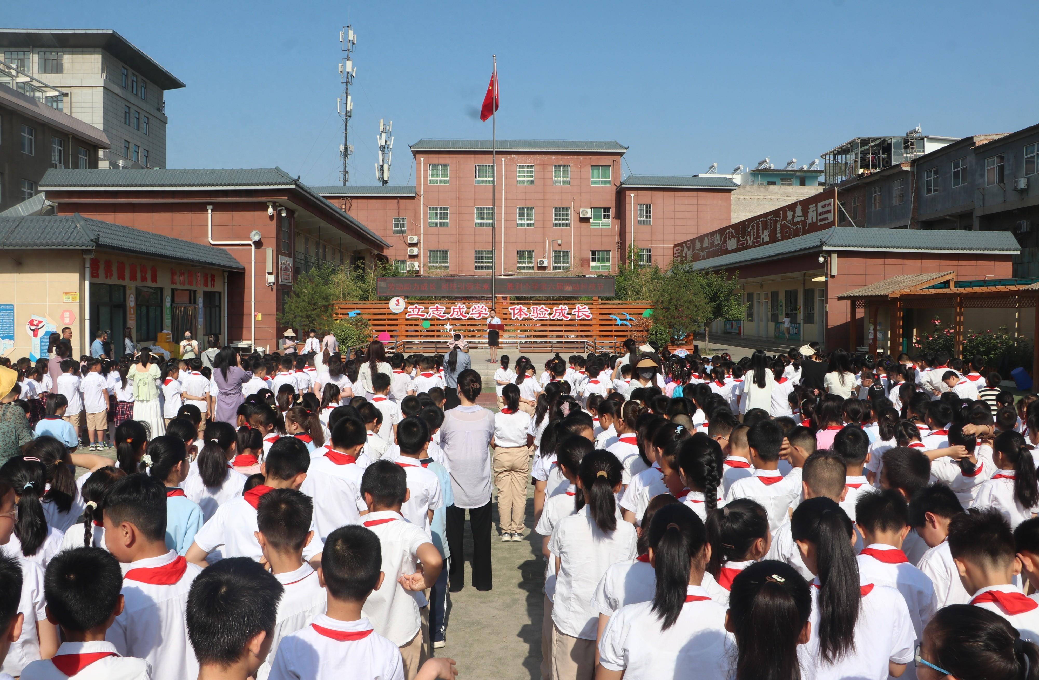 临渭区胜利小学开展劳动科技节活动(组图)