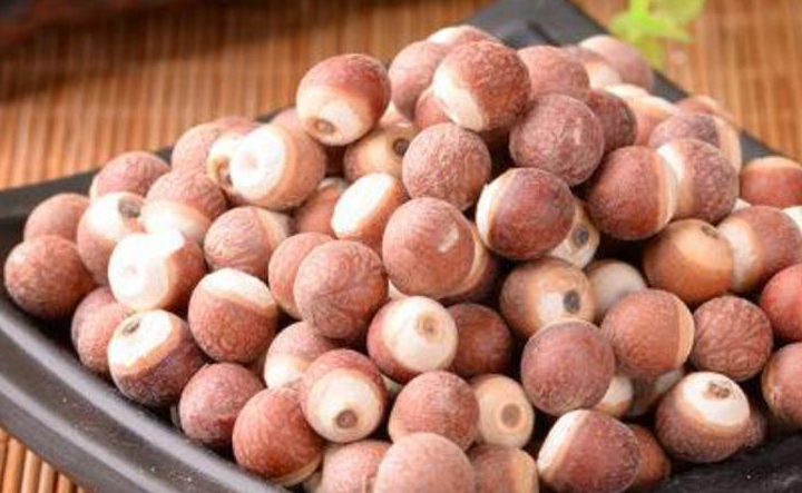 茨实注解:芡实味甘,涩,性平,具有固肾涩精,补脾止泻的功效.