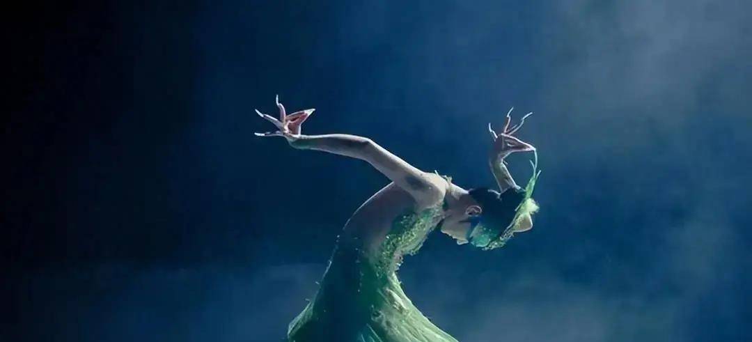 揭秘杨丽萍孔雀舞:艺术之巅还是文化之殇?