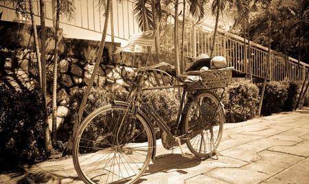 相信很多"8090年代"的朋友都见过_绘图_自行车_收音机