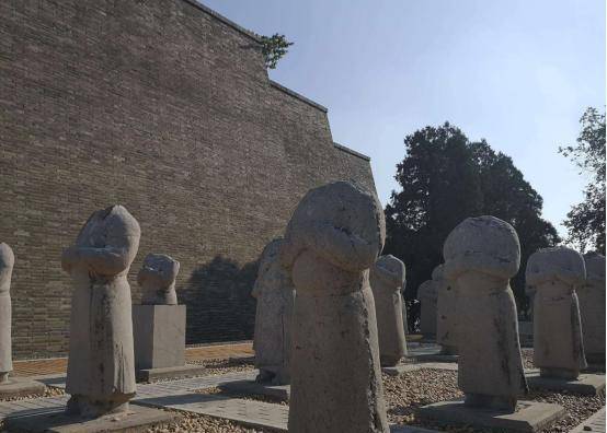 河北发现唐代墓葬,当一件小碗出土时,在场专家全部傻眼_阜城县_三彩