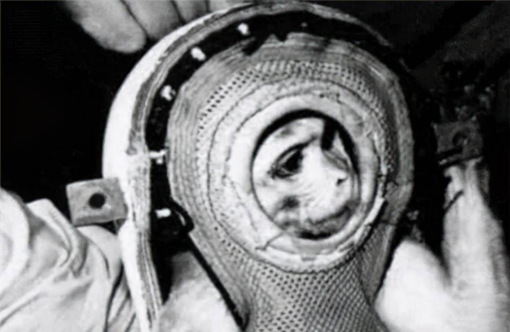 美国将2487只水母送上太空,繁殖到6万只后,科学家得出一个结论_实验