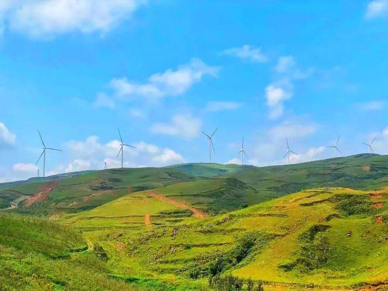 开远幸福大草原风景区图片