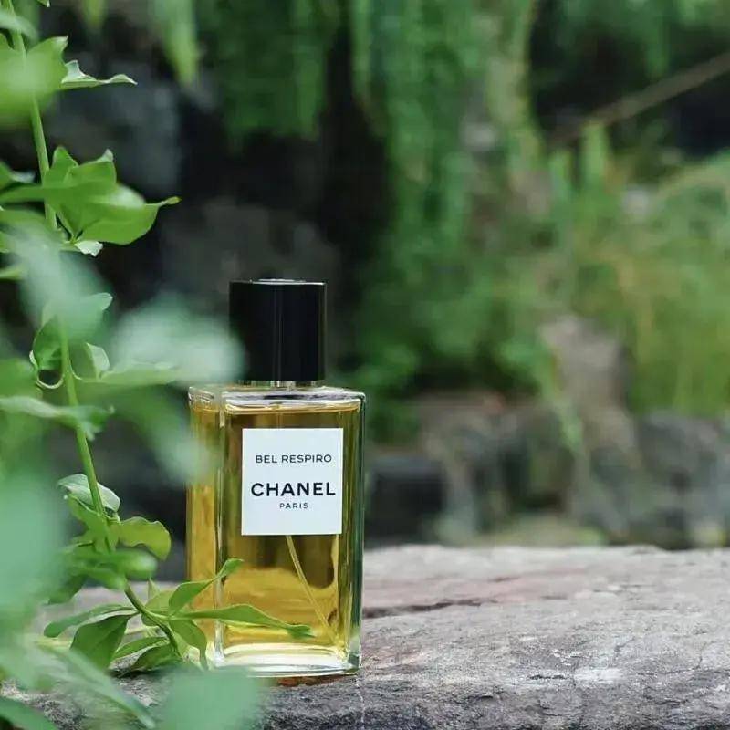 5支青草味香水推荐,探索夏日清新绿意