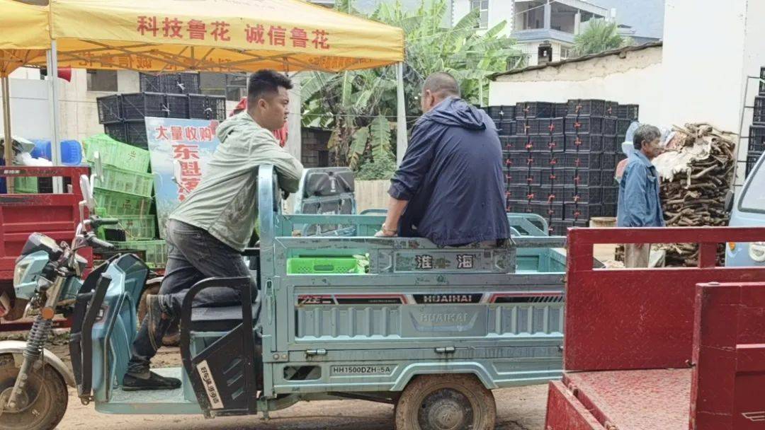 师杨桃和当地洋丰肥料代理商石屏闳鑫商贸有限责任公司负责人张树芬