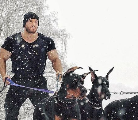 4种别墅护卫犬,分工明确,管家,保姆,保安,贴身侍卫各尽其职