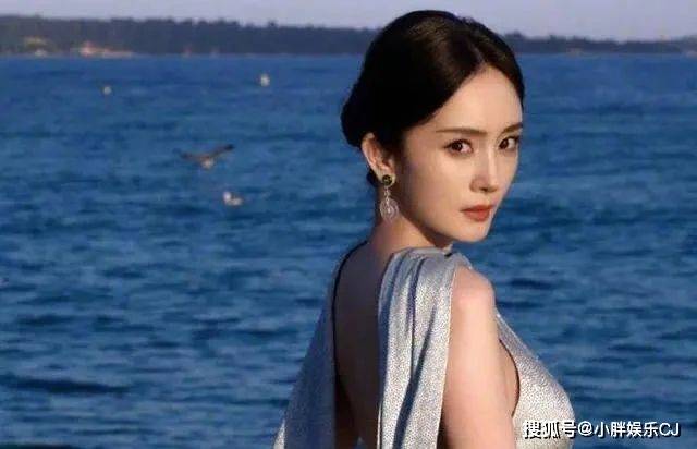 杨幂主动给章子怡让镜头,镜头背后满是杨幂的谦虚_陈可辛_地位_前辈
