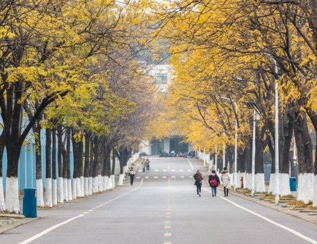 华中农业大学好不好?口碑好不好?当然好了!