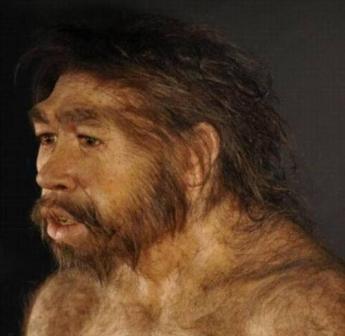 黑猩猩早已进入"石器时代",假以时日,它们会进化成新的人类吗