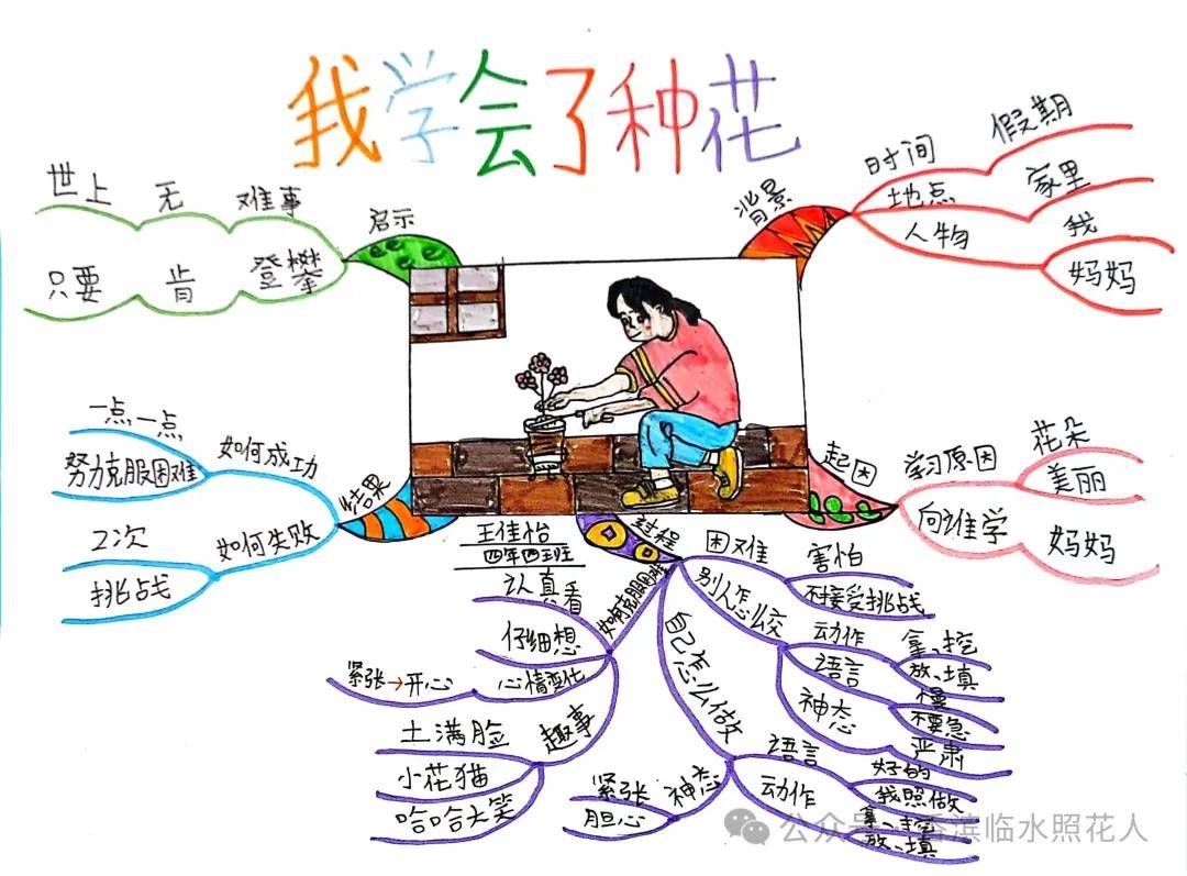 【思维导图作文——四年下《 我学会了——》】张奇《我学会了西红柿