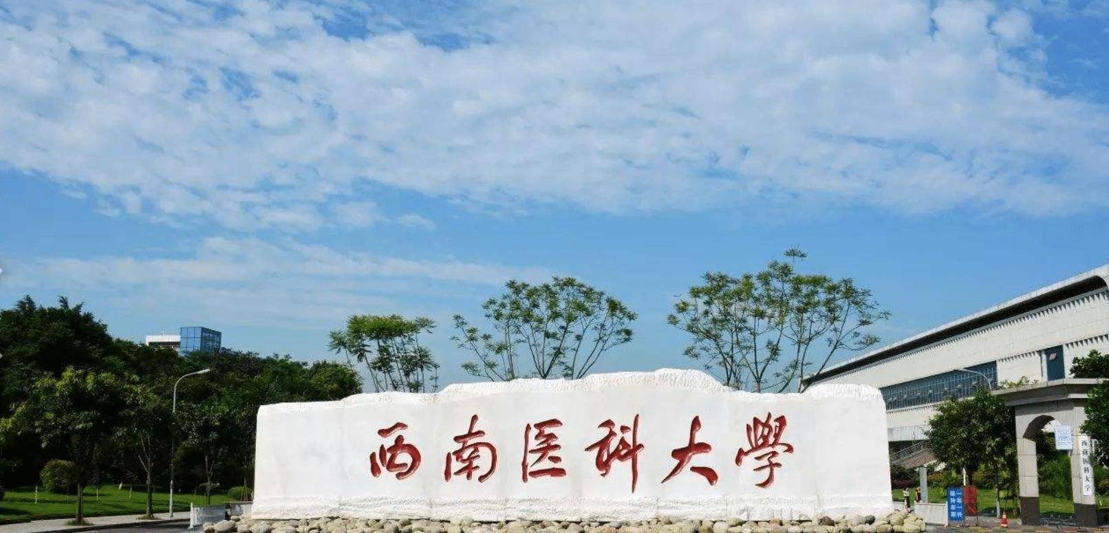 医科大学,如果泸州医学院也这样改名,便会影响到华西的名誉,四川大学
