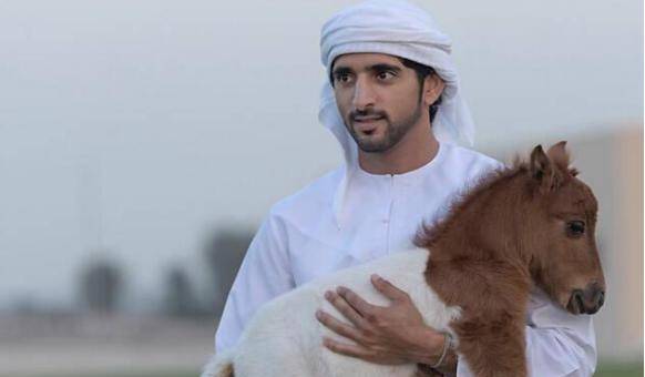 迪拜王子与公主的宿命,婚礼背后的辛酸故事,政治联姻是否是悲剧