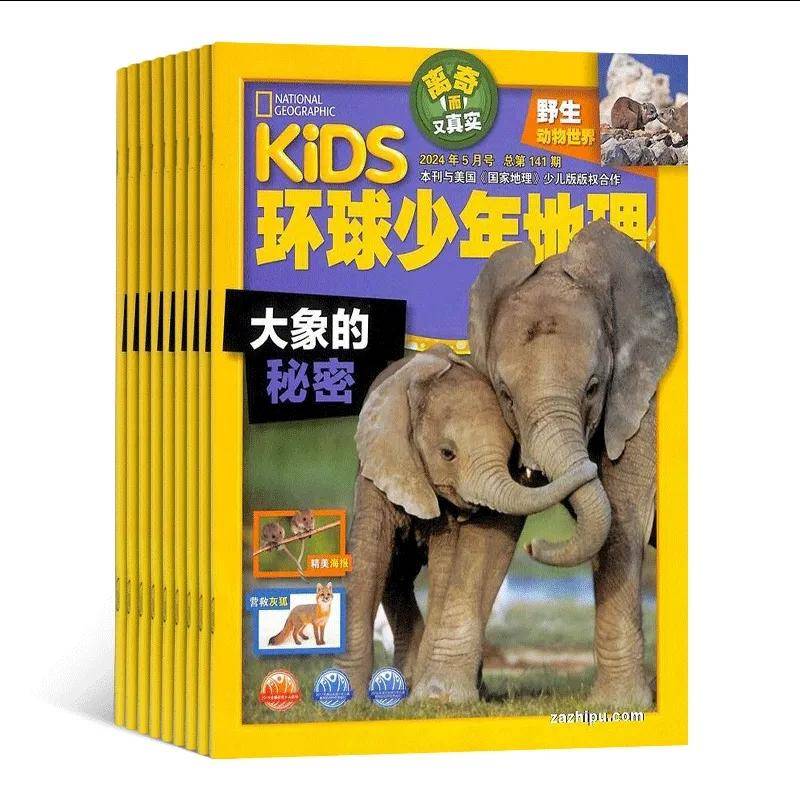 2024年中盘点:最值得阅读的杂志top20