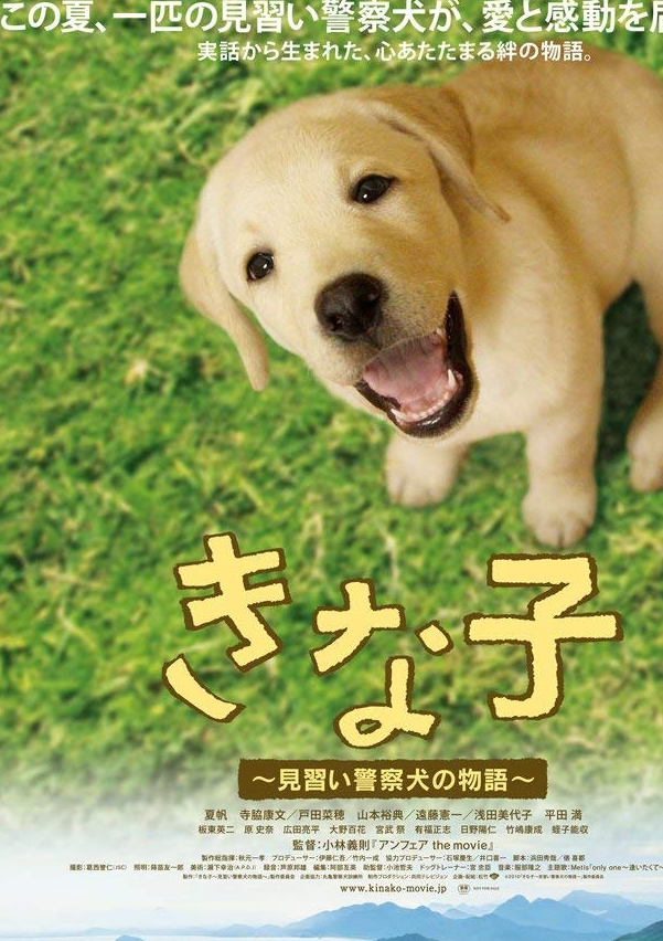 励志狗狗梦想成为警犬,连续6年失败仍坚持,事迹感人被拍成电影_kinako