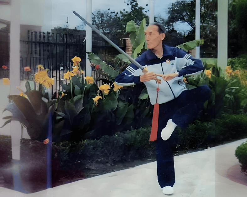 著名武术大师李天骥:创编24式简化太极拳,影响全球数亿人