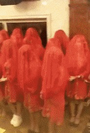 搞笑gif:皇上,后宫的妃嫔们都已准备好!请过目