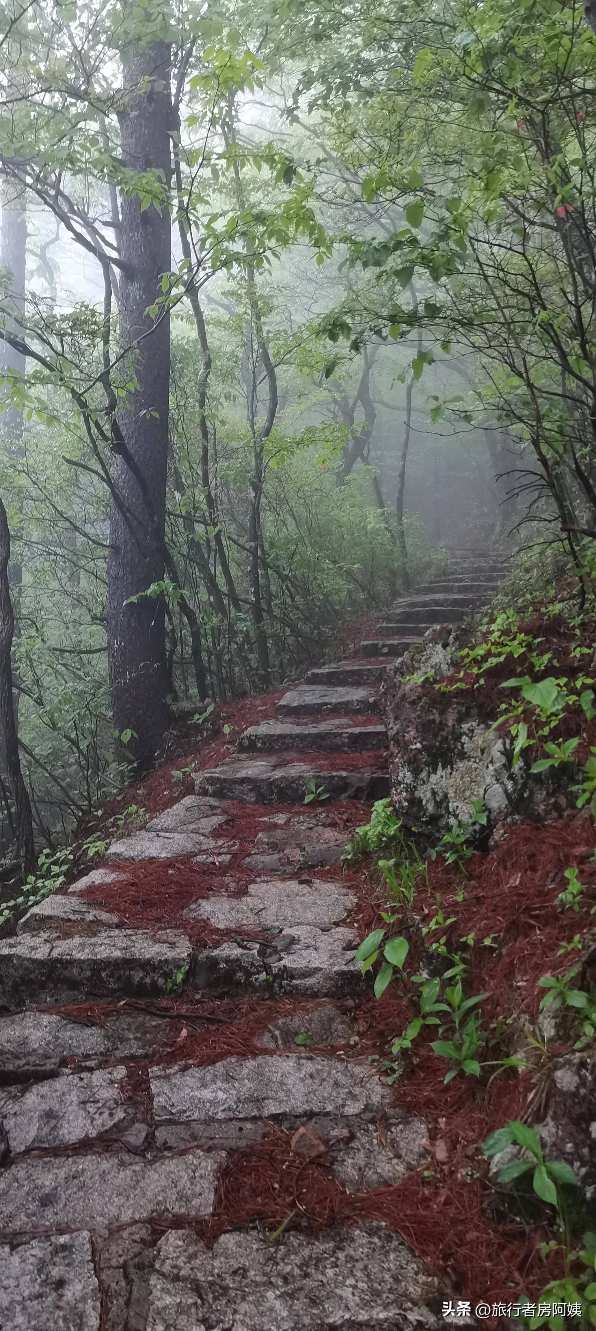 浙江最高的山峰图片