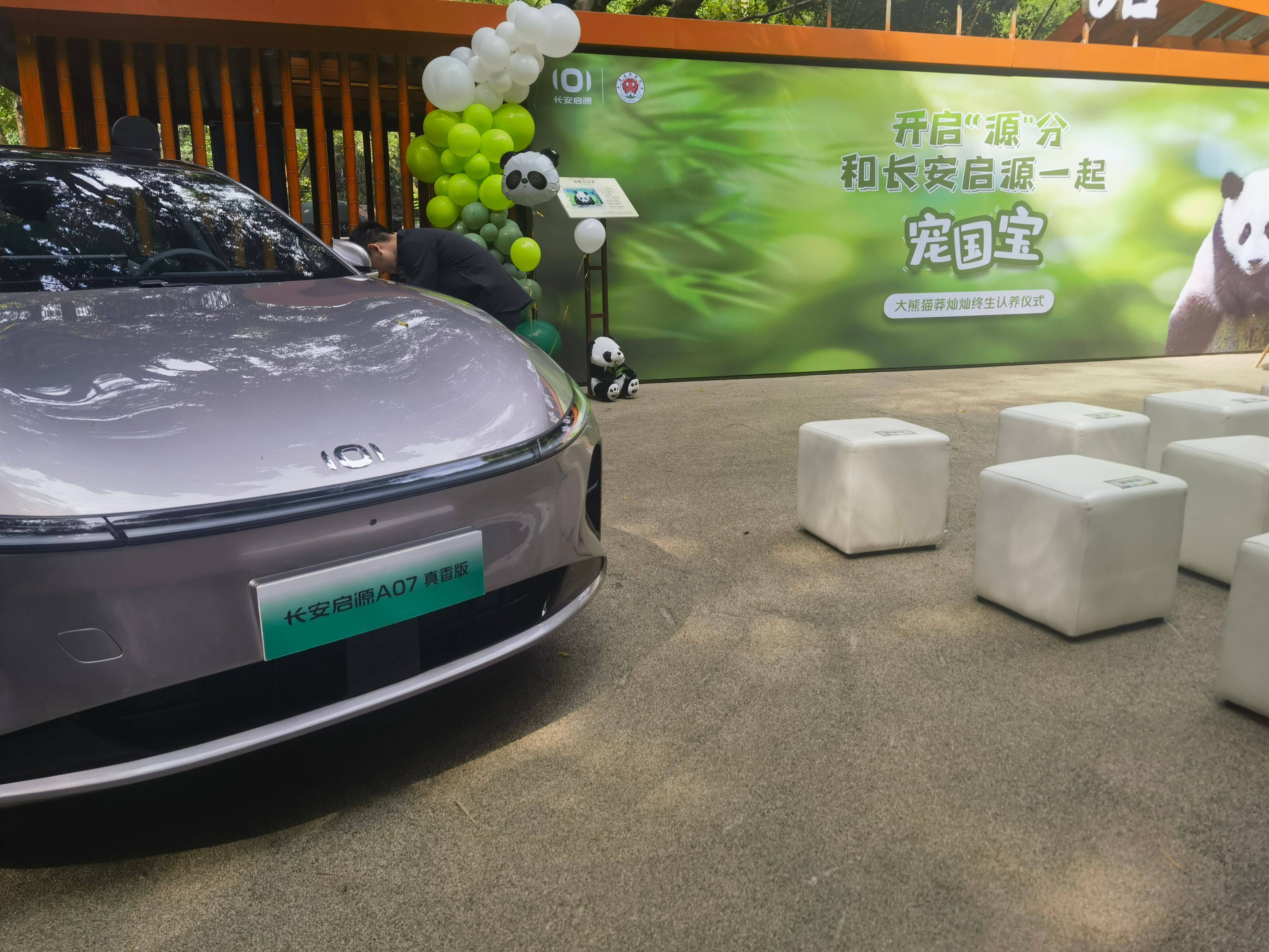 重庆"崽儿"结缘!长安启源认养大熊猫莽灿灿