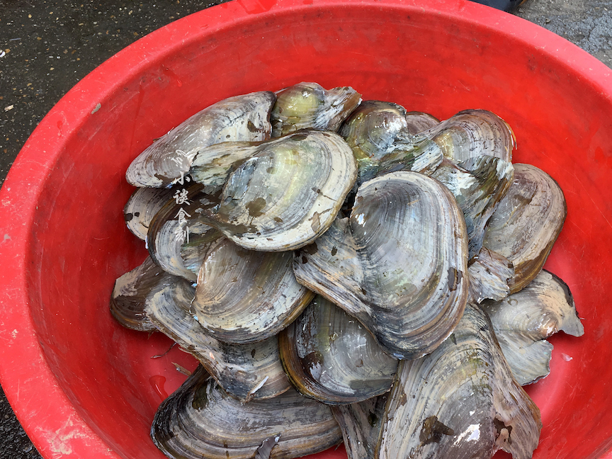 它是河中鲜,却只卖3元一斤,清明前后最鲜美,可惜很多人不会吃