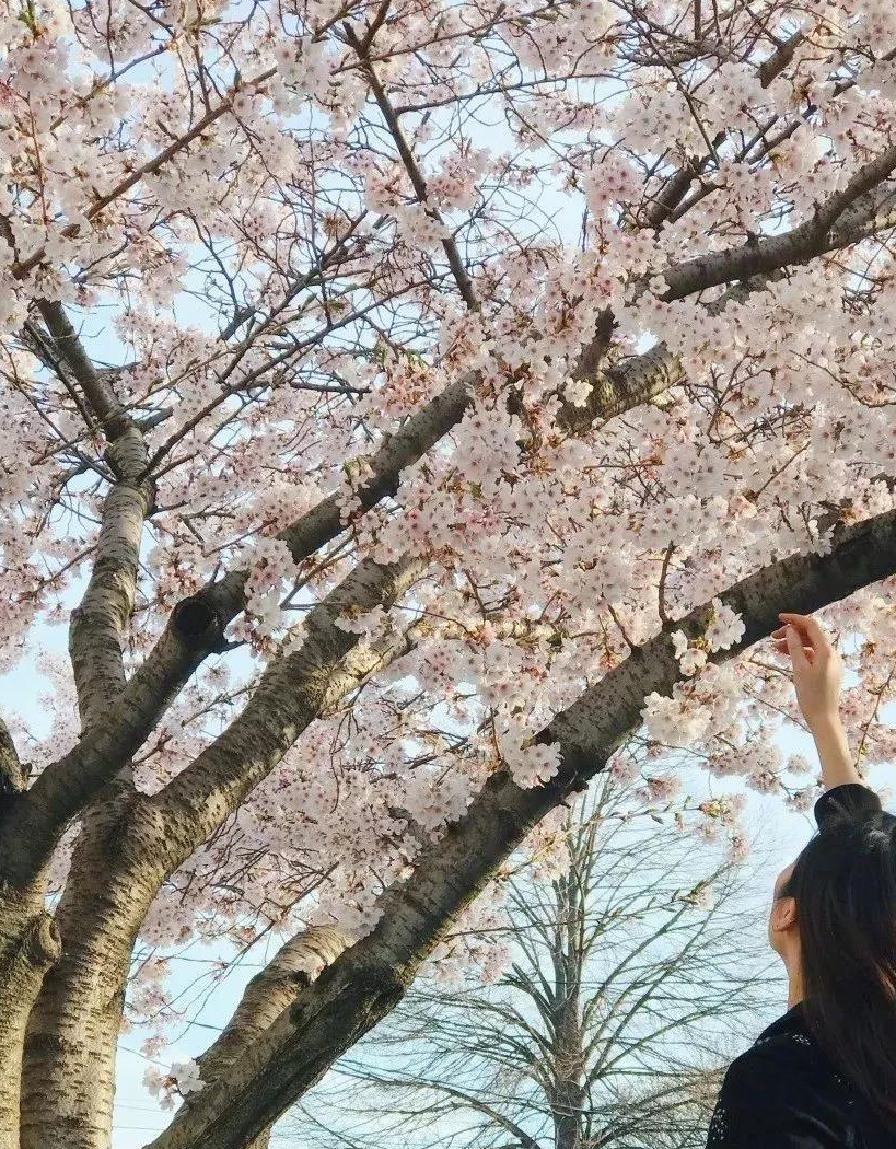 简直是行走街拍的教科书_照片_风景_镜头