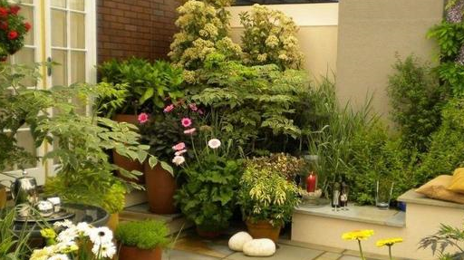 打造舒适治愈系庭院,享受惬意时光!_感觉_的设计_花卉