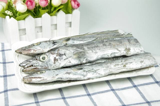 水温,水质,氧气含量等环境参数都被严格控制,以模拟带鱼在深海中的