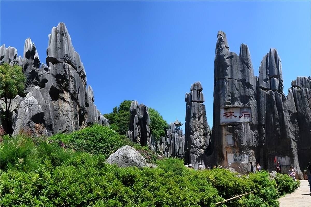 不远处的崇左还有个石景林,那是一片从平地上突然拔起的岩石群,自然