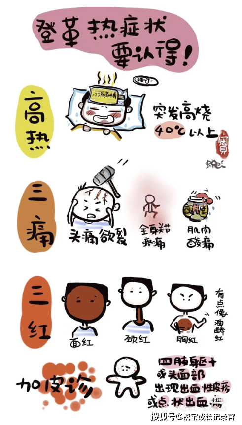 【卫生保健】预防登革热,我们正在做——春熙路实验幼儿园登革热知识