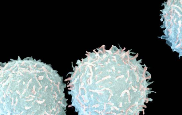 白细胞减少后,会发生什么?需要做好心理准备!