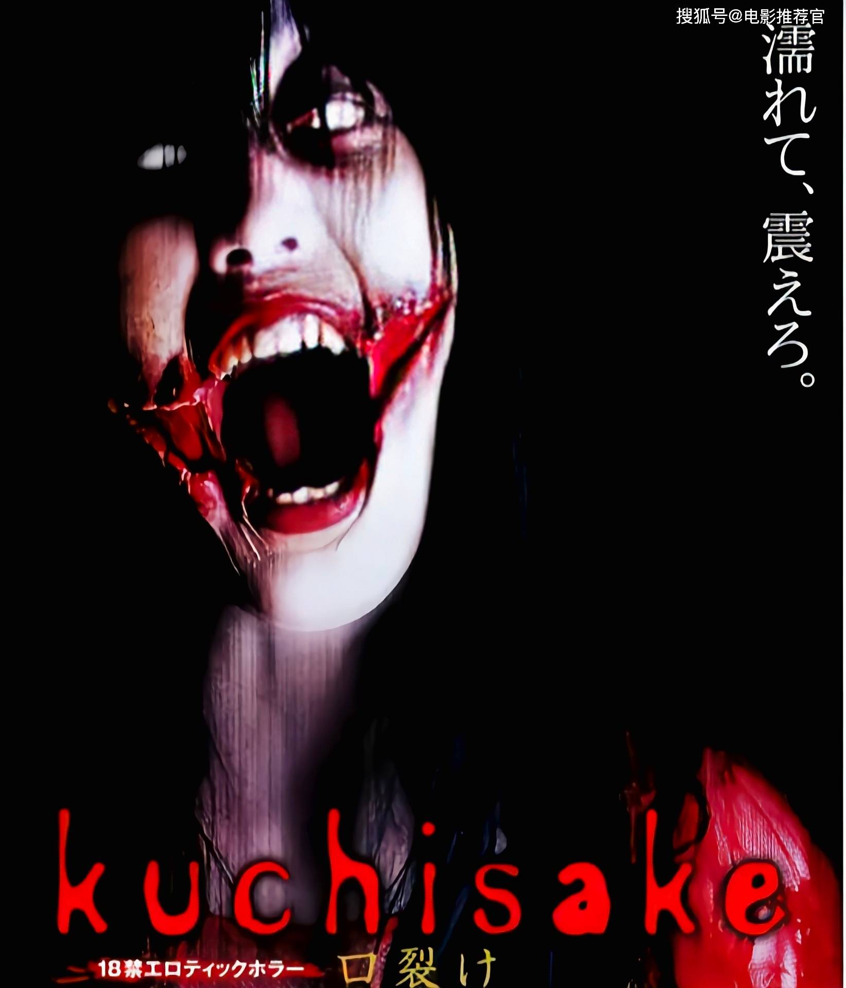 重口味r级电影《裂口女:感官病房》