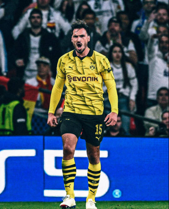 胡梅尔斯:老当益壮之际履历多变