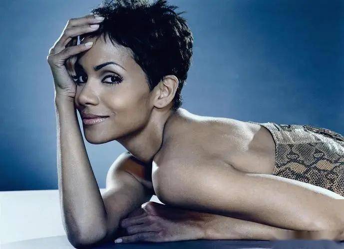 总结来说,哈莉贝瑞是一个全方位的美女,她的身材,外貌和内在美相得