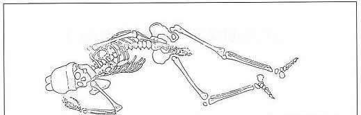 定陵被挖开后,万历皇帝尸骨姿势藏玄机