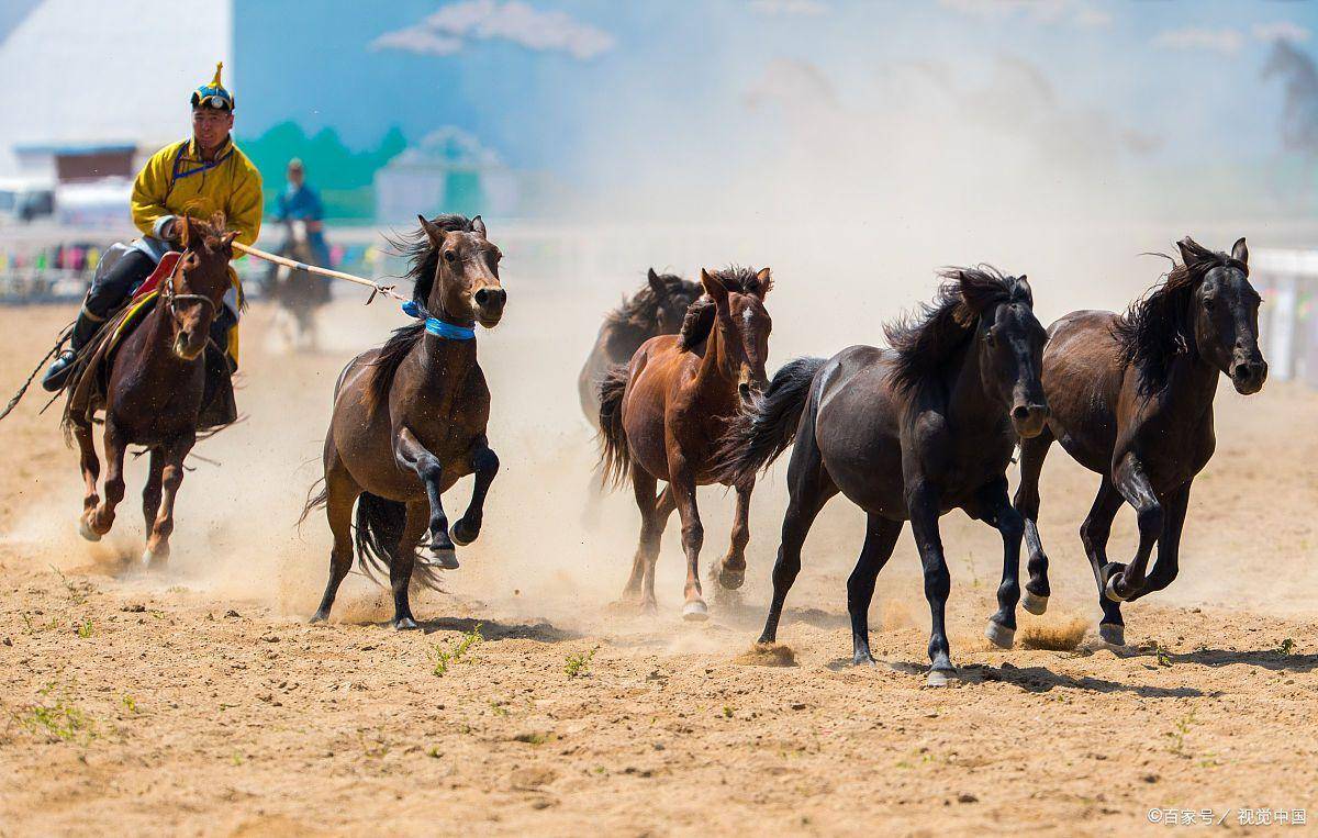 去蒙古旅游的十大最佳景点