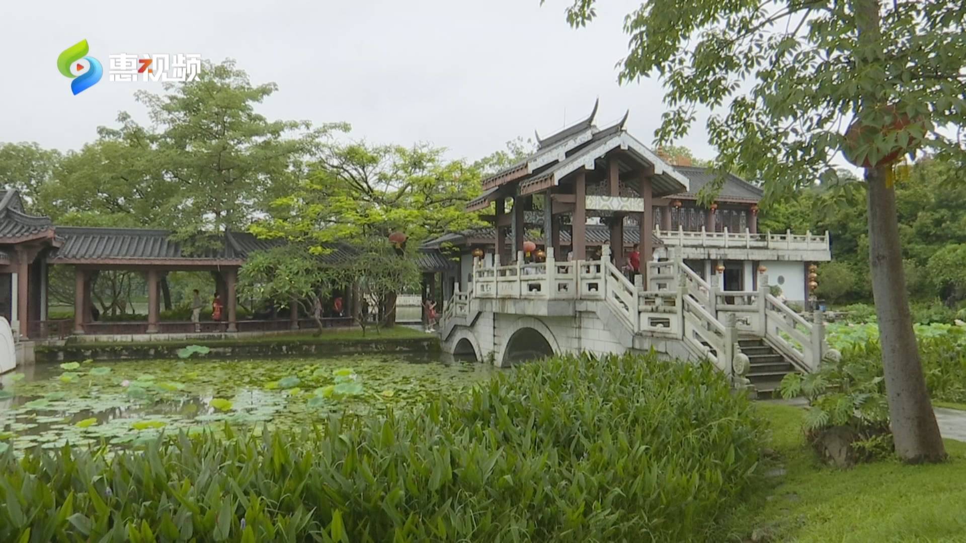 荷花_丰渚_游客