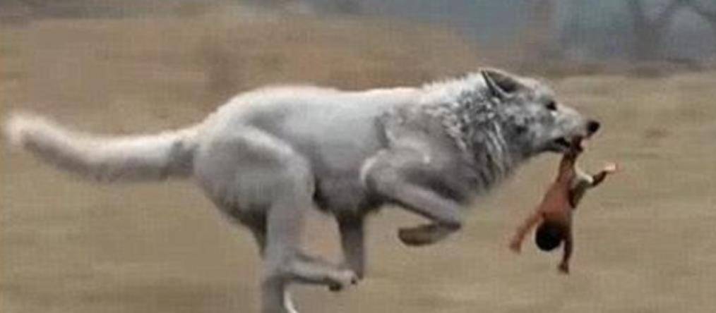 寇金成:3岁被狼咬没半张脸,靠吸米糊存活,26岁娶妻已有三子女